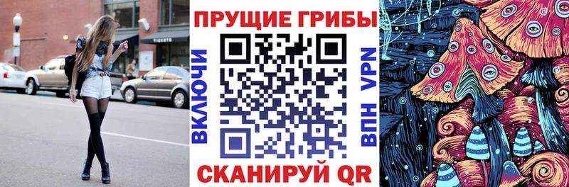где купить наркоту  блэк спрут как зайти  Галлюциногенные грибы MAGIC MUSHROOMS  Магадан 